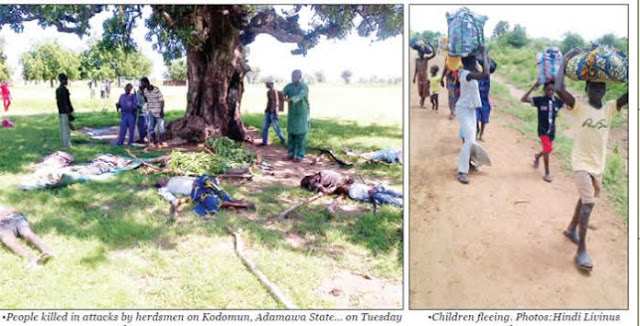 Death toll in Adamawa herdsmen attacks hits 30