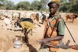 Food prices soar as herdsmen killings hamper farming