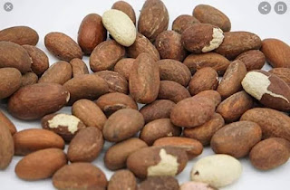 BITTER KOLA BENEFITS